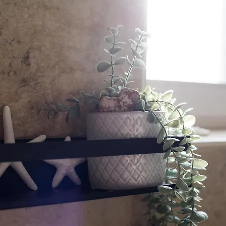 Kleines Glueck Auf Den Hoefen 5 * Kuehlungsborn