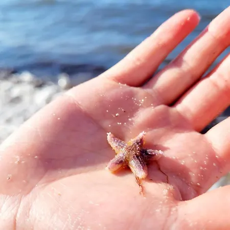 Kleines Glueck Auf Den Hoefen 5 *