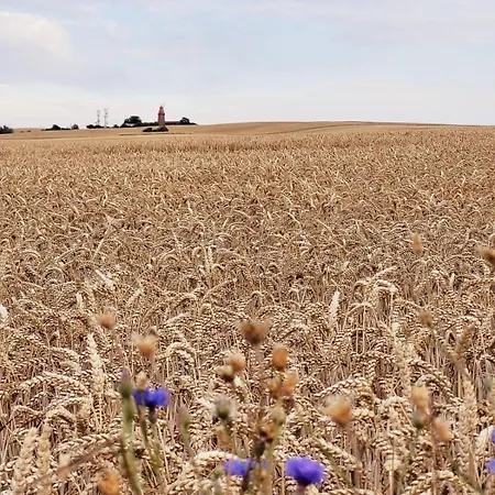 Kleines Glueck Auf Den Hoefen 5